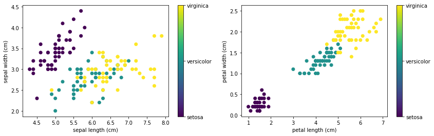 Iris dataset